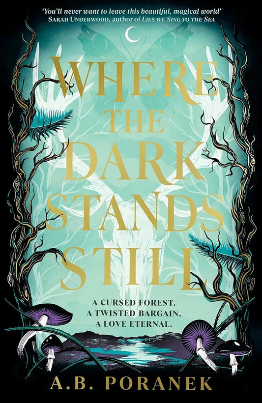 Where the Dark Stands Still cover image