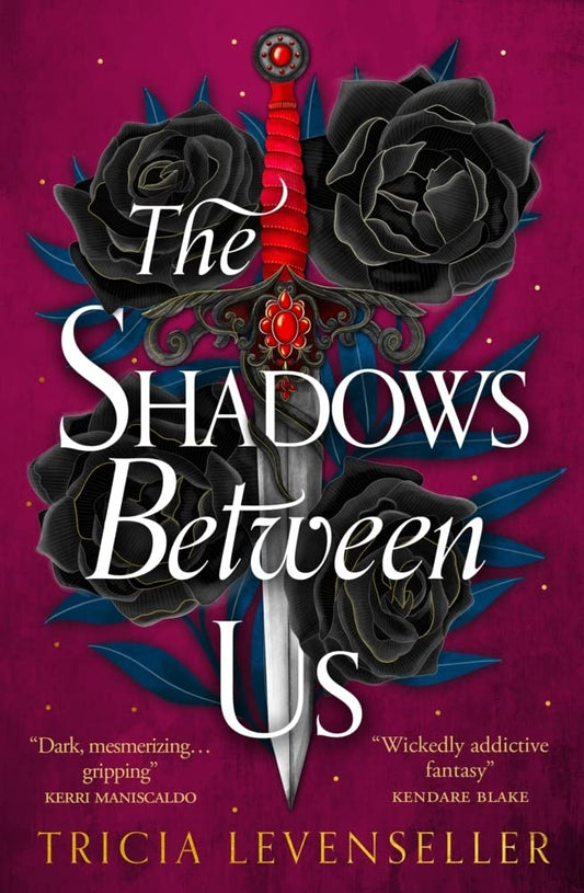The Shadows Between Us cover image