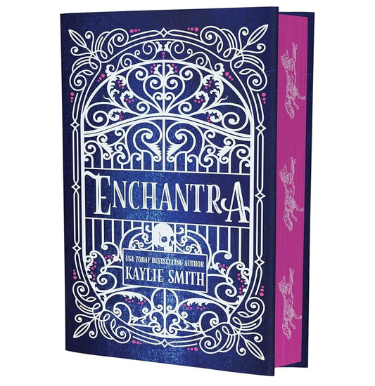 Enchantra Deluxe Limited Edition: Wicked Games Bk 2: A spicy fantasy romance cover image