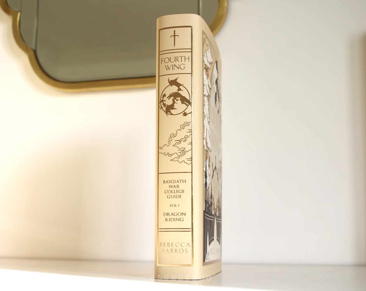 Bluelyboo Fourth Wing Dust Jacket